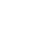 Logo Vidzit