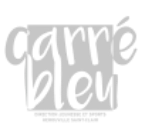 Logo Carré bleu