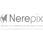 Logo Nerepix